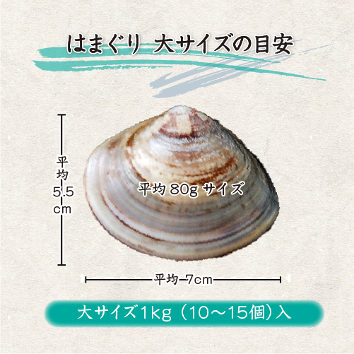 冷凍 はまぐり 大サイズ 70～100g（10～15個/kg）[はまぐり]