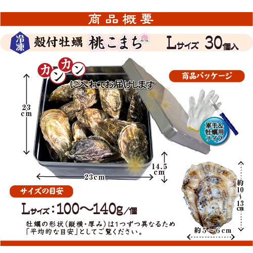 □[牡蠣のカンカン焼き]冷凍 殻付き牡蠣／桃こまち Lサイズ 30個