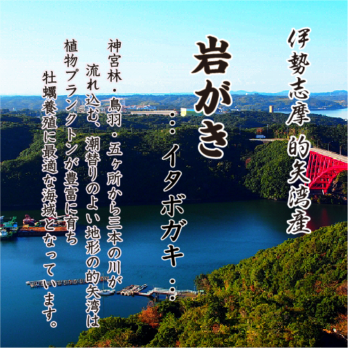 生食用 岩がき Lサイズ(250/300g）10個（軍手・ナイフ付）★[イタボ牡蠣]