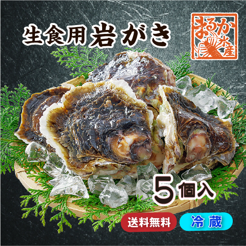 生食用 岩がき Lサイズ(250/300g）軍手・ナイフ付★[イタボ牡蠣]