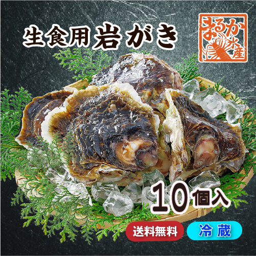生食用 岩がき Lサイズ(250/300g）10個（軍手・ナイフ付）★[イタボ牡蠣]