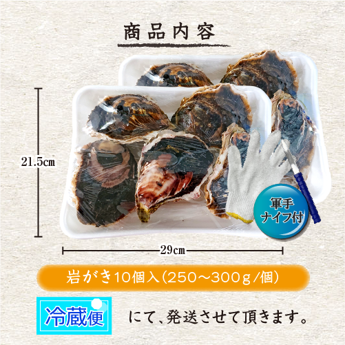 生食用 岩がき Lサイズ(250/300g）10個（軍手・ナイフ付）★[イタボ牡蠣]