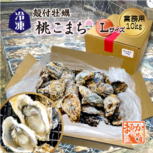 □冷凍 殻付牡蠣「桃こまち」業務用10kg入★ [牡蠣]