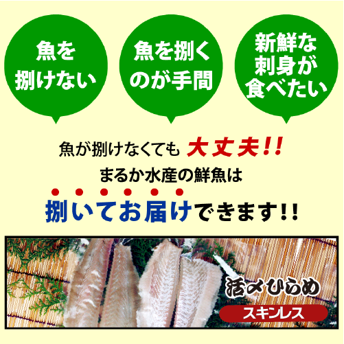 活〆 ひらめ 捌いてお届け！(スキンレス）1尾 [魚介類]
