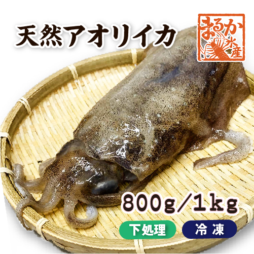 天然アオリイカ　国産　Lサイズ 800g/1kg 冷凍[魚介類]