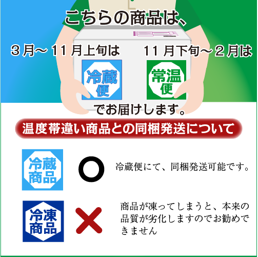 活伊勢海老 活きたまま発送 ちょっとワケあり 標準サイズ 2尾入 500g 送料無料 [活伊勢海老]