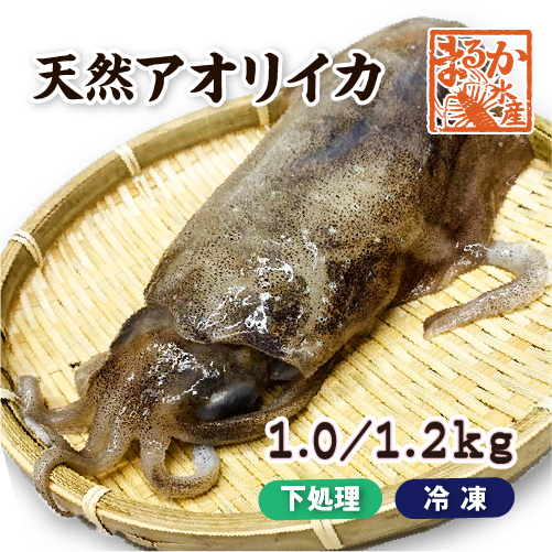 天然アオリイカ 国産 LLサイズ 1.0/1.2kg 冷凍[魚介類] | 甲殻類（エビ
