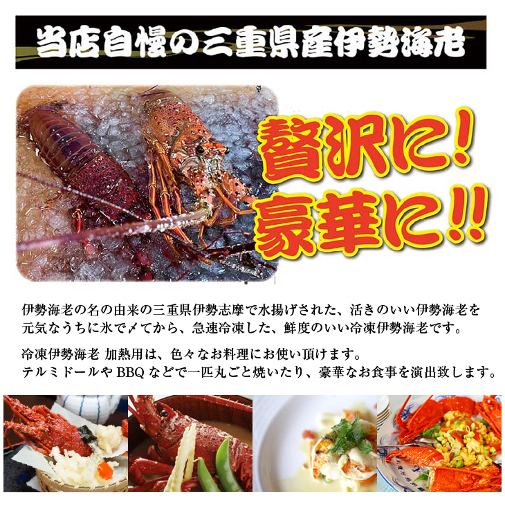 活〆伊勢海老（冷凍加熱用）ギフトセット 2尾入 650g（半割・真空パック・ギフトBOX入）送料無料 [冷凍伊勢海老]