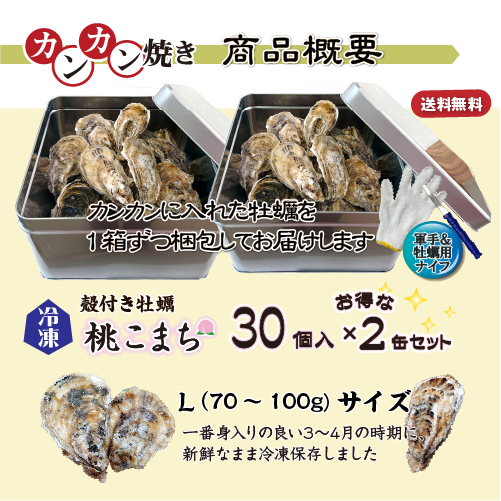 【牡蠣のカンカン焼き】冷凍 殻付き牡蠣／桃こまち 30個 [牡蠣]
