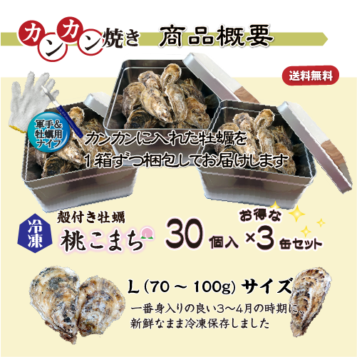 【牡蠣のカンカン焼き】冷凍 殻付き牡蠣／桃こまち 30個 [牡蠣]