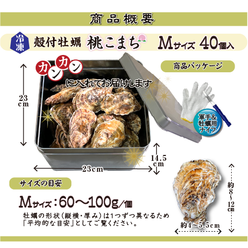 □【牡蠣のカンカン焼き】冷凍 殻付き牡蠣／桃こまち 40個 [牡蠣]