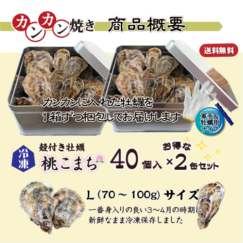 【牡蠣のカンカン焼き】冷凍 殻付き牡蠣／桃こまち 40個 [牡蠣]