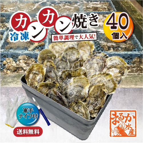【牡蠣のカンカン焼き】冷凍 殻付き牡蠣／桃こまち 40個 [牡蠣]