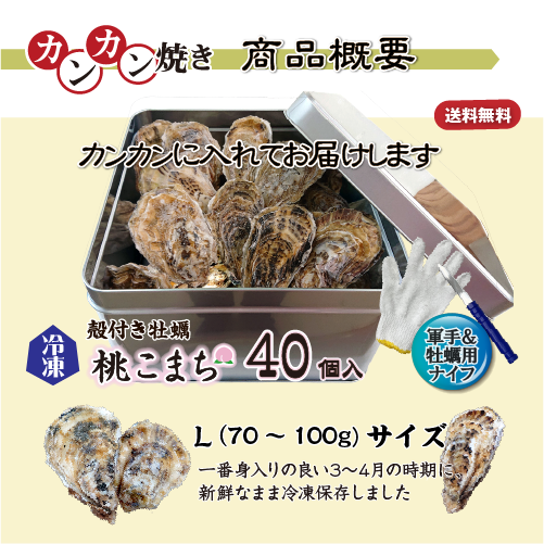 【牡蠣のカンカン焼き】冷凍 殻付き牡蠣／桃こまち 40個 [牡蠣]