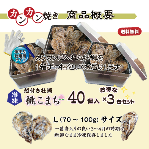 【牡蠣のカンカン焼き】冷凍 殻付き牡蠣／桃こまち 40個 [牡蠣]