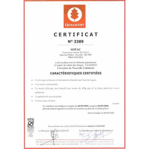 天使の海老 Sサイズ 生食用 40/50サイズ 1ｋｇ 冷凍 [魚介類]