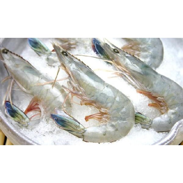 天使の海老 Sサイズ 生食用 40/50サイズ 1ｋｇ 冷凍 [魚介類]