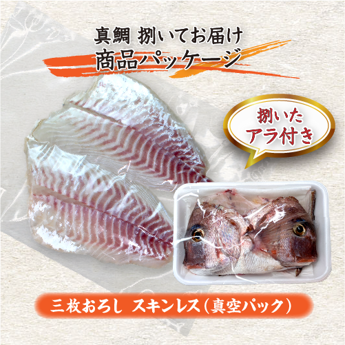 活〆 真鯛 捌いてお届け！  普通サイズ 1尾 1.0kg　[魚介類]