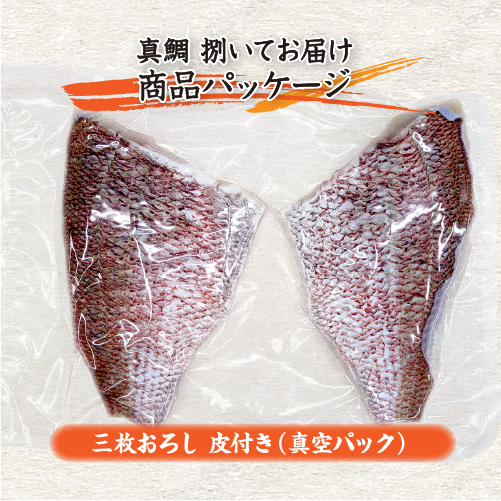 活〆 真鯛 捌いてお届け！  普通サイズ 1尾 1.0kg　[魚介類]