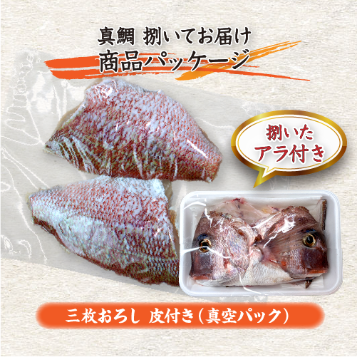 活〆 真鯛 捌いてお届け！  普通サイズ 1尾 1.0kg　[魚介類]