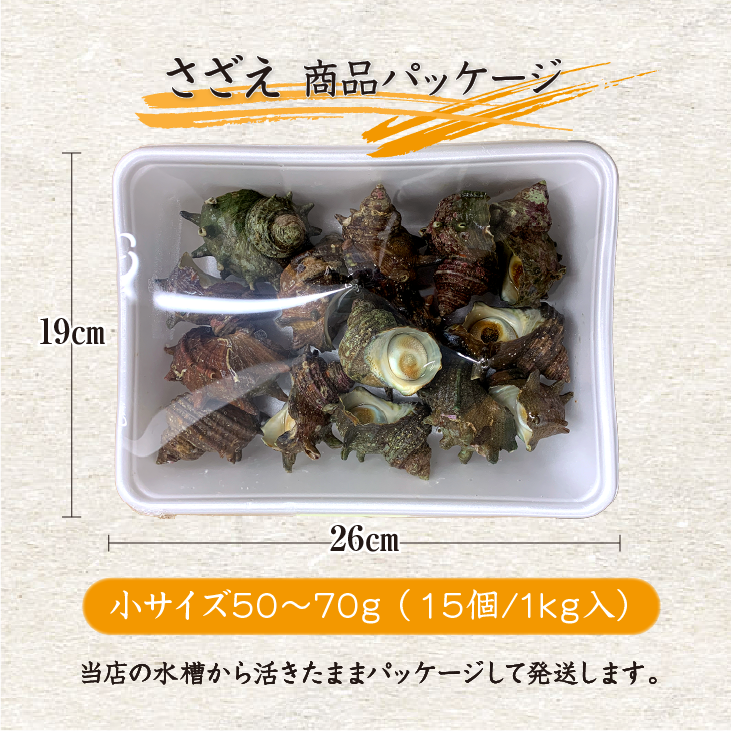 天然活 さざえ 小サイズ 1kg 15個 50～70g [さざえ]