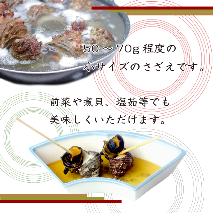 天然活 さざえ 小サイズ 1kg 15個 50～70g [さざえ]