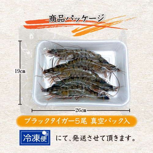 冷凍 有頭ブラックタイガー[冷凍海老]（入数：5尾）