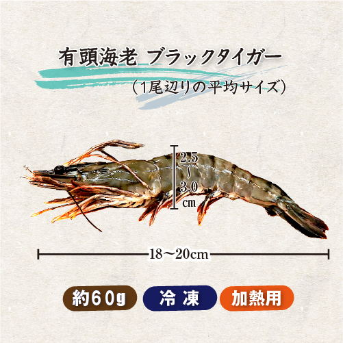 冷凍 有頭ブラックタイガー[冷凍海老]（入数：15尾）