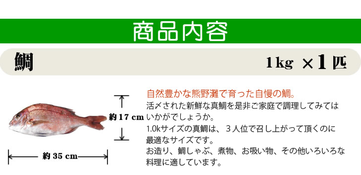 活〆 真鯛 普通サイズ 1尾 1.0kg　[魚介類]