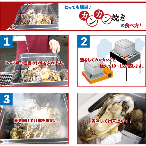 【牡蠣のカンカン満タン焼き】冷凍 殻付き牡蠣／桃こまち MSサイズ 3kg入[牡蠣]