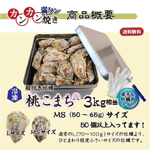 【牡蠣のカンカン満タン焼き】冷凍 殻付き牡蠣／桃こまち MSサイズ 3kg入[牡蠣]