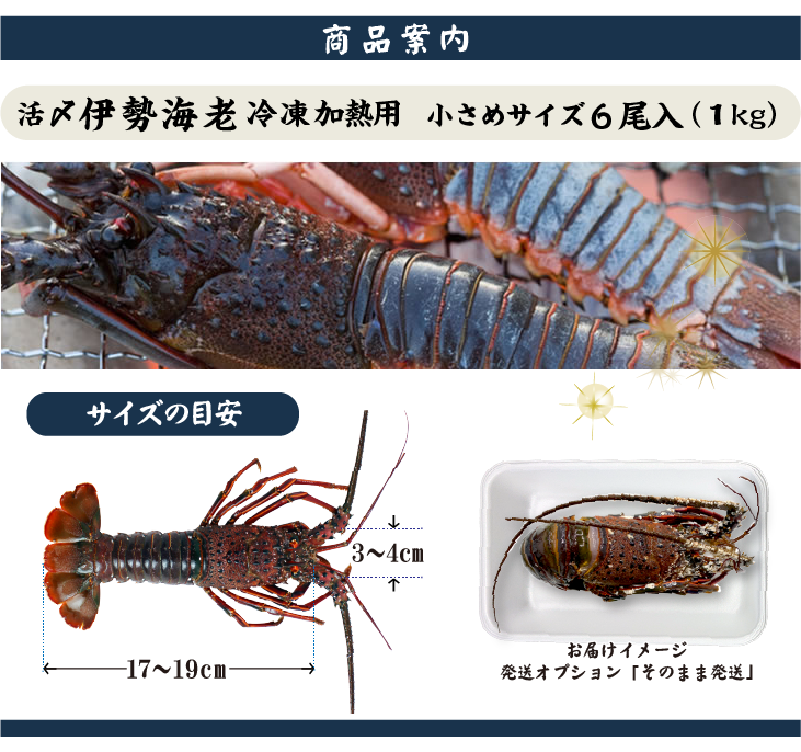 活〆伊勢海老（冷凍加熱用）小さめサイズ 6尾入 1kg ★[冷凍伊勢海老]