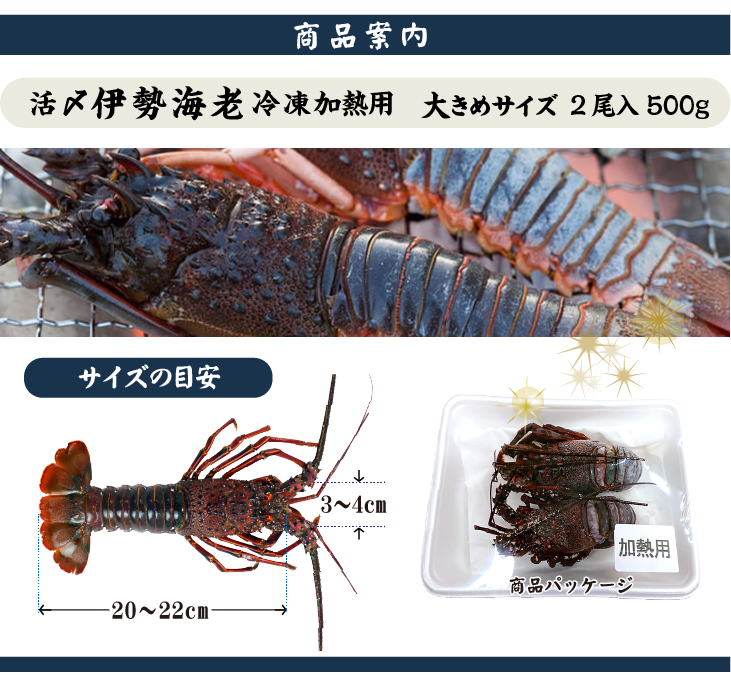 □活〆伊勢海老（冷凍加熱用）標準サイズ 2尾入 500g ★[冷凍伊勢海老]