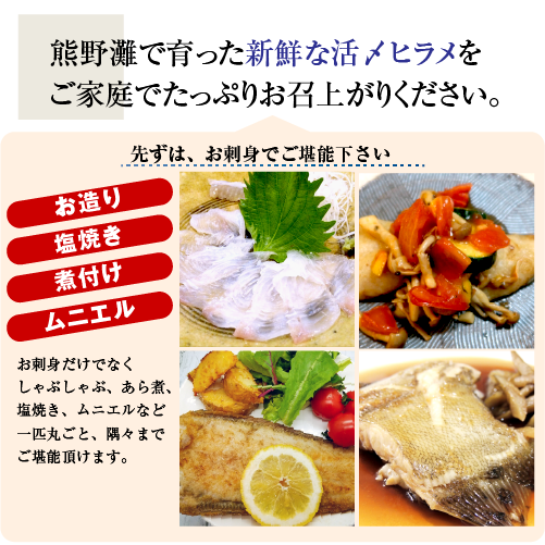 活〆 ひらめ（養殖）1尾 [魚介類]（サイズ：800g）