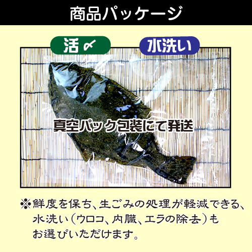活〆 ひらめ（養殖）1尾 [魚介類]（サイズ：800g） | 新鮮さが自慢の
