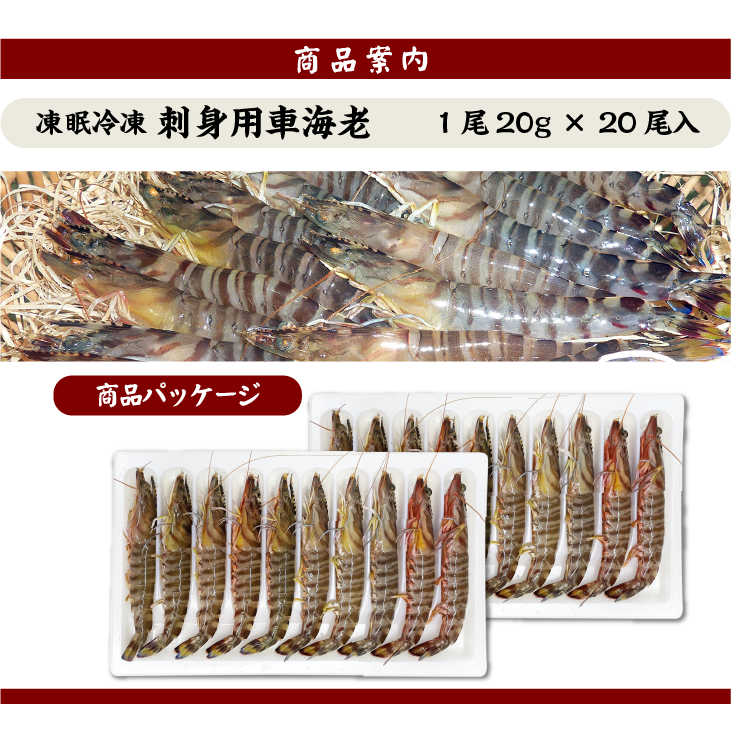 刺身用車海老 凍眠冷凍 20g [冷凍車海老]（入数：20尾 400g）