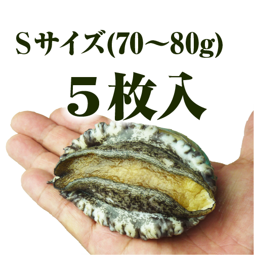 活蝦夷あわび 70～80g Sサイズ [あわび]（入数:5枚　★）