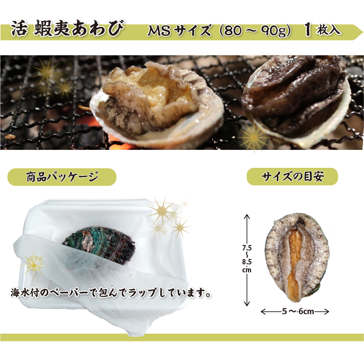 活 蝦夷あわび 80～90g MSサイズ[あわび]（入数:1枚）