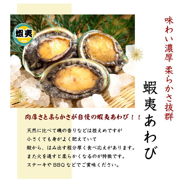 活 蝦夷あわび 80～90g MSサイズ[あわび]（入数:1枚）