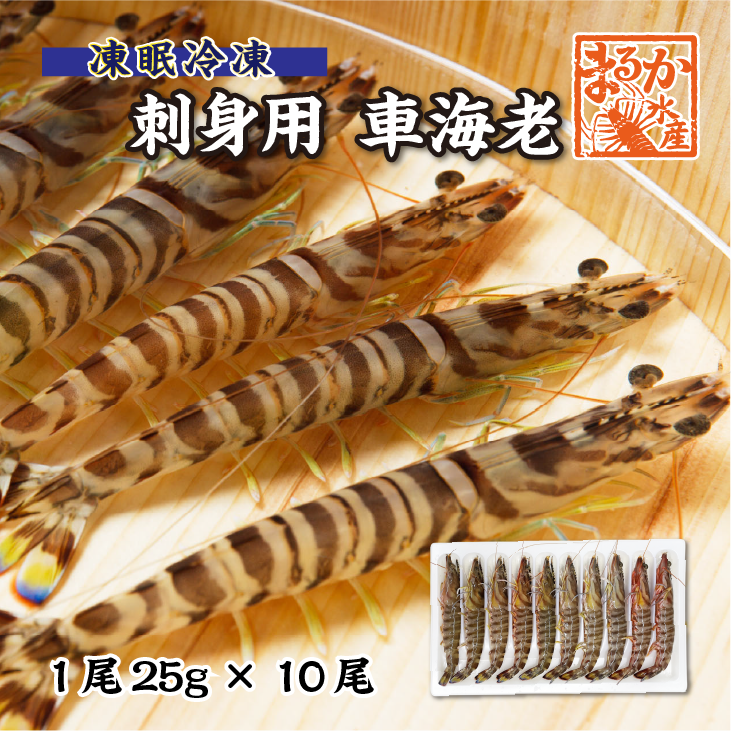 刺身用車海老 凍眠冷凍 25g [冷凍車海老]（入数：10尾 250g）