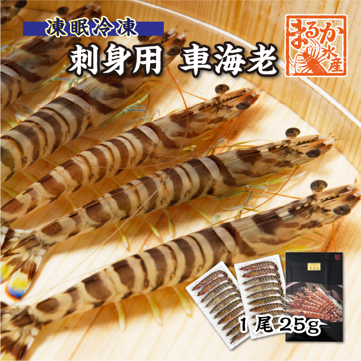 □刺身用車海老 凍眠冷凍 25g [冷凍車海老]