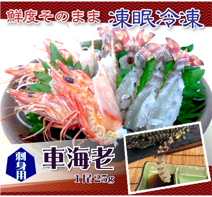 刺身用車海老 凍眠冷凍 25g [冷凍車海老]（入数：10尾 250g）