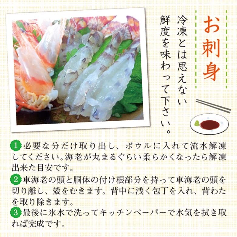 刺身用車海老 凍眠冷凍 25g [冷凍車海老]（入数：10尾 250g）