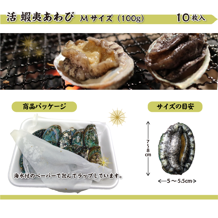 活 蝦夷あわび 100g Mサイズ [あわび]（入数:10枚 ★）