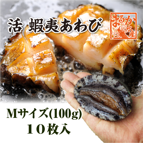 活 蝦夷あわび 100g Mサイズ [あわび]（入数:10枚 ★）