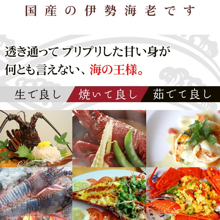 高級 天然 伊勢海老 三重県産 大サイズ ★ [活伊勢海老]