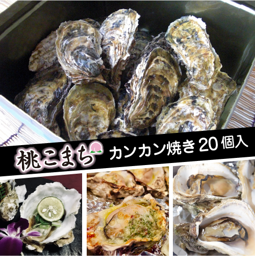 活 牡蠣のカンカン焼き 殻付き牡蠣／桃こまち [活牡蠣]