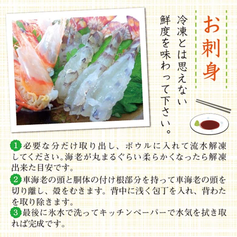 刺身用車海老 凍眠冷凍 25g [冷凍車海老]（入数：20尾 500g）