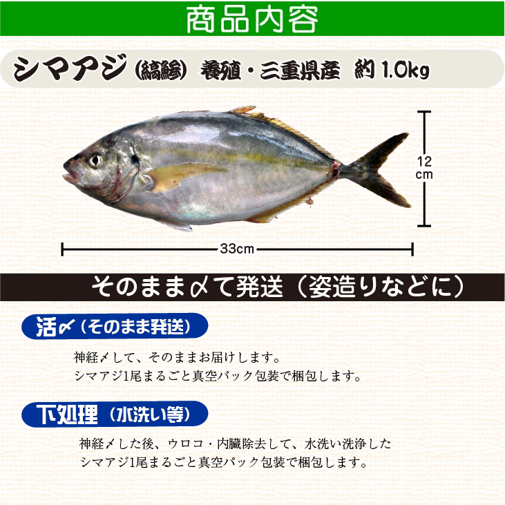 活〆シマアジ １尾 約1.0kg 捌いてお届けできます[シマアジ]