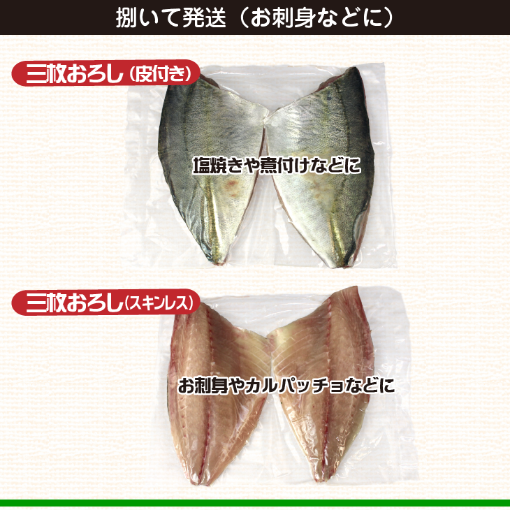 活〆シマアジ １尾 約1.0kg 捌いてお届けできます[シマアジ]